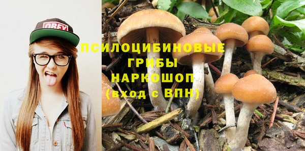 каннабис Абаза