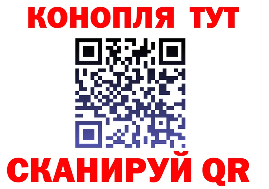 Alfa_PVP СК КРИС зеркало это MEGA Кострома