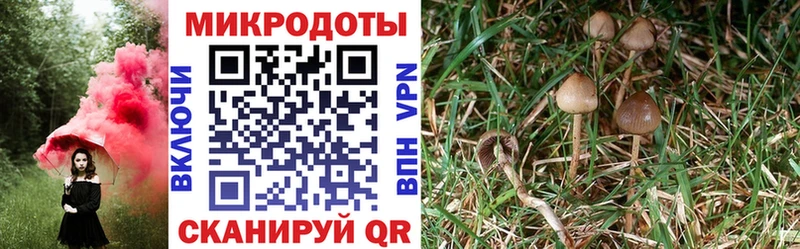 блэк спрут маркетплейс  shop наркотические препараты  Галлюциногенные грибы Magic Shrooms  Кострома 
